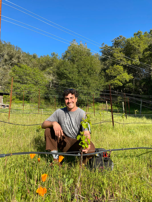 -4 Florèz Wines - Romulus - Syrah