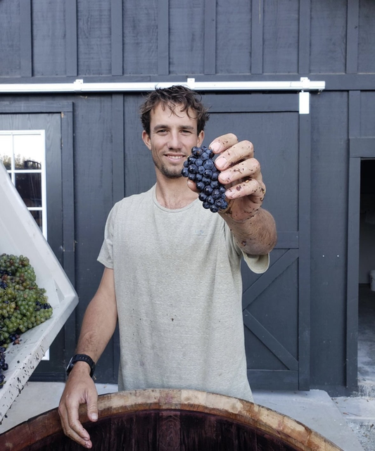 49-1 Madson Wines - Gamay Santa Cruz Mountains - Gamay