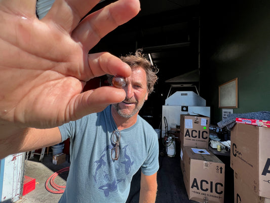 15-2 Lumen - Hey Ginger Red - Pinot Noir