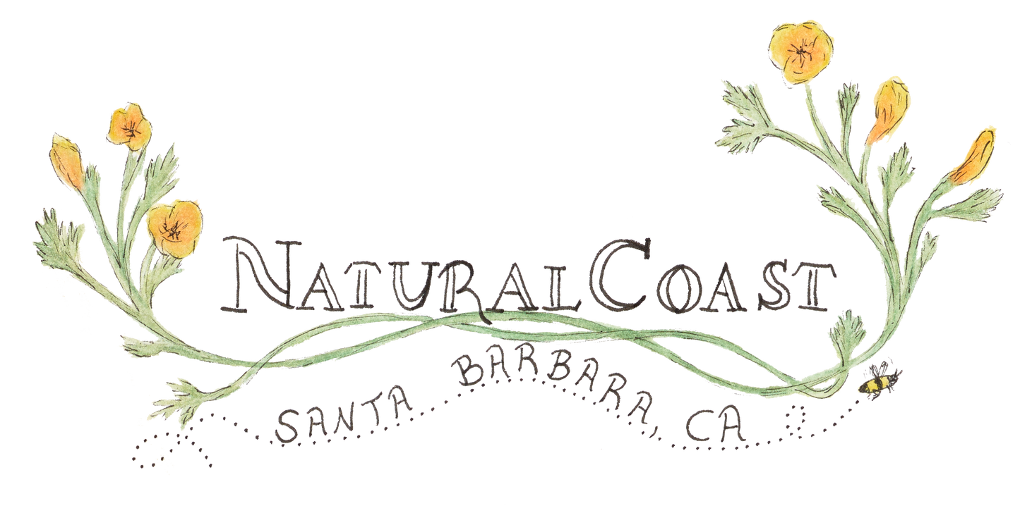 ποΈ General Admission Ticket - April 25, 2026