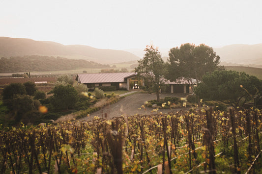 20-1 Tyler Winery - 2023 Mae Estate Vineyard Chardonnay, Sta. Rita Hills - Chardonnay