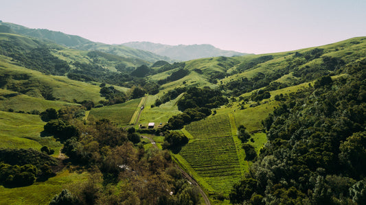 40-5 Parr Collective - Phelan Farm - Autrement